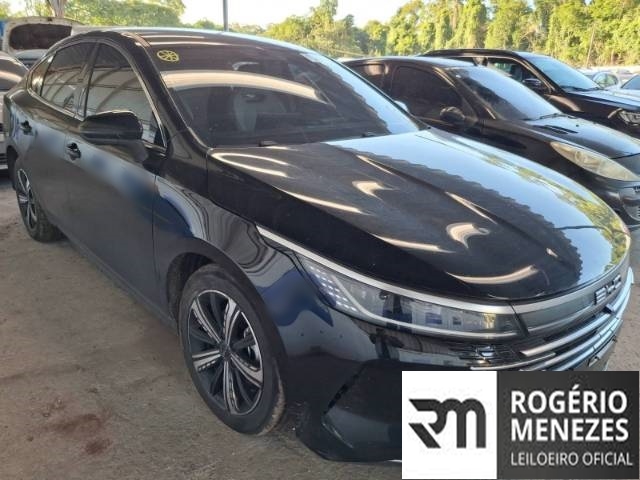BYD KING 2025